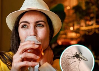 Los mosquitos prefieren picar a quienes consumen alcohol
