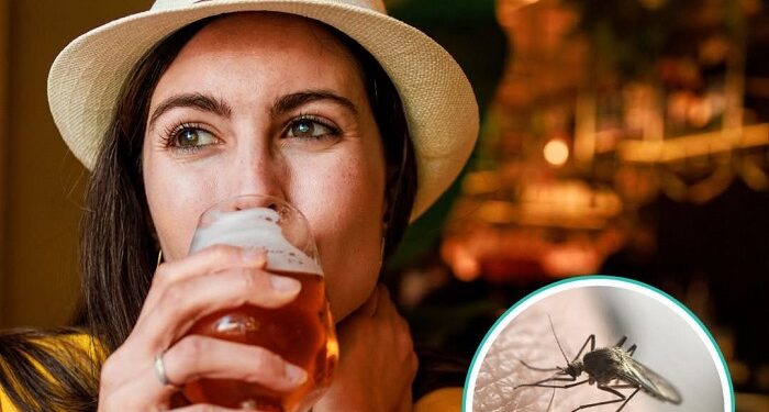 Los mosquitos prefieren picar a quienes consumen alcohol