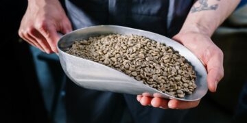 Granos bajo presión: el conflicto en Medio Oriente ya no sostiene los precios, y Argentina enfrenta un desafío comercial
