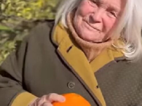 Mónica Cahen D’Anvers presenta las naranjas gigantes de su chacra
