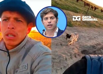 El Gobierno de Kicillof intimó a los dueños de la estancia a regularizar al peón rural que se volvió viral al despedirse de su perro