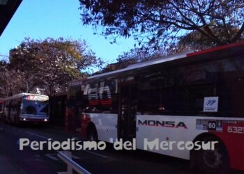 El transporte público será gratuito en las elecciones provinciales y nacionales