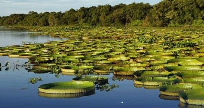 La ONU reconoció como uno de los pueblos más lindos del mundo a una región de Corrientes