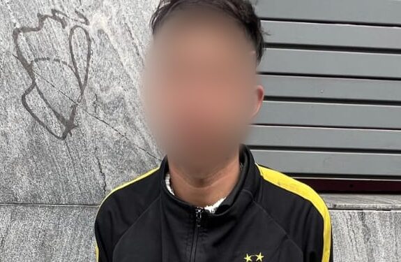 Un arrebatador fue detenido en Constitución
