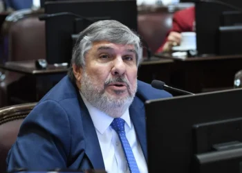 José Mayans: “Milei no sabe dónde está parado”