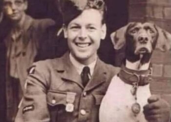 Judy, la perrita prisionera de guerra que se convirtió en heroína