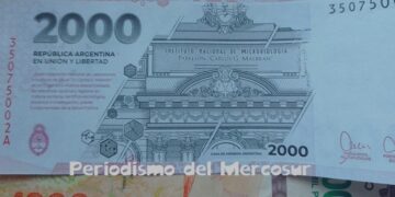 Pese a que en 2023 logró el nivel más bajo de evasión en dos décadas, Argentina pierde un quinto del PBI por la informalidad