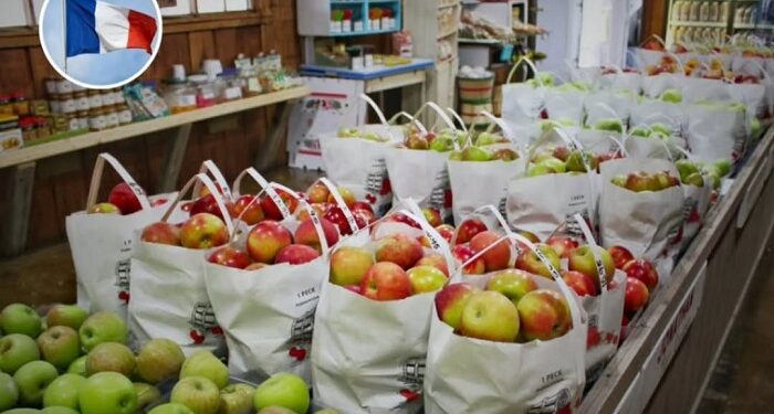 Francia se convierte en el primer país en obligar a todos los supermercados a donar la comida no vendida a personas necesitadas