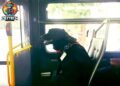 Esta perrita llamada Eclipse toma el autobús todos los días para ir al Parque de Perros