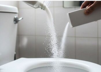 Los secretos para mantener un baño siempre limpio con sal y bicarbonato