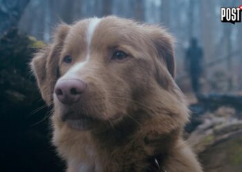 Un perro fue nominado a la mejor actuación en el filme GoodBoy