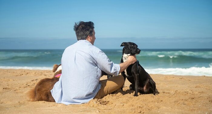 ¿Por qué hay personas que no puede evitar acariciar a los perros?
