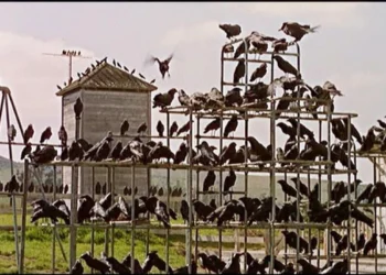 «Munro Infernal» llega al Centro Cultural Munro