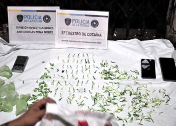 La Policía de la Ciudad incautó cocaína y marihuana en allanamientos en Constitución y Pompeya