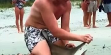 Un joven se acercó a un tiburón para salvarle la vida pues tenía un anzuelo en su boca