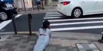 Apareció una “therian serpiente” en Japón y el video se volvió viral