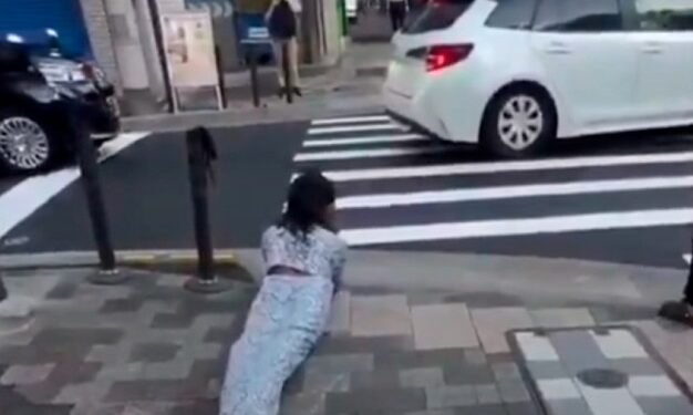 Apareció una “therian serpiente” en Japón y el video se volvió viral