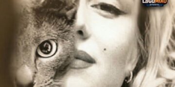 Marilyn Monroe y su inesperado amor por los gatos