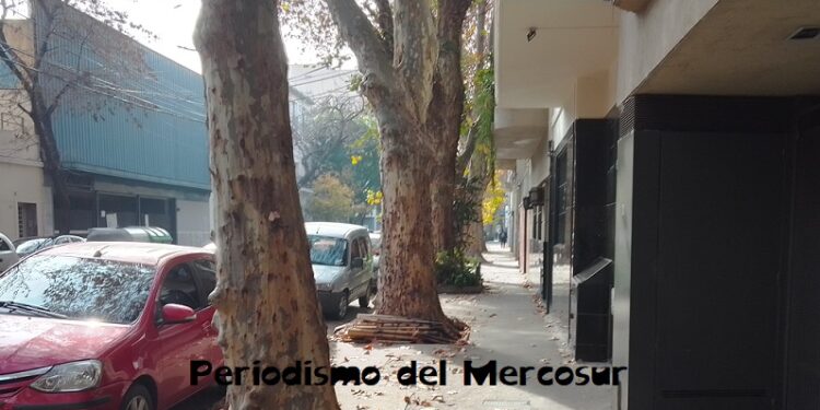 Escrituras en Provincia de Buenos Aires: Febrero mostró una caída interanual y una baja del crédito hipotecario