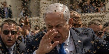 Una invasión de abejas colmó el Estado de Israel