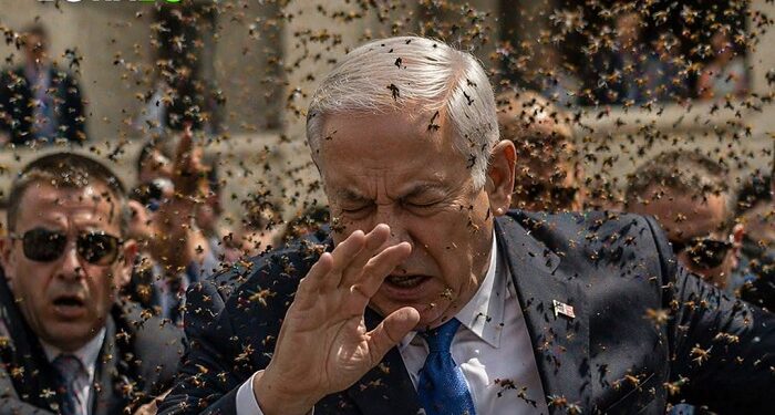 Una invasión de abejas colmó el Estado de Israel