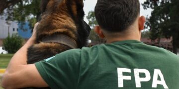 Se jubiló Buster, el can K9 que brindó servicios en la Policía Federal durante años