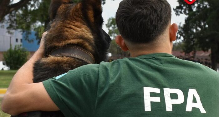 Se jubiló Buster, el can K9 que brindó servicios en la Policía Federal durante años
