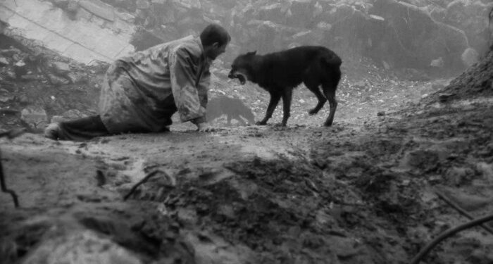 Adiós a Béla Tarr, el ciclo de cine que llega al Cine York
