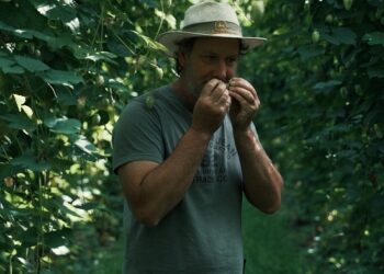 Llega «IPA Day Argento»: la industria de cerveza artesanal apuesta por una estrategia de crecimiento nacional