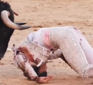 El torero Cristian Pérez sufrió una grave cornada de 20 cm en la corrida del Domingo de Ramos en Las Ventas