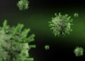 Un brote de hantavirus en un crucero revive temores de contagio interpersonal y reactiva el recuerdo del Covid-19
