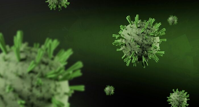 Un brote de hantavirus en un crucero revive temores de contagio interpersonal y reactiva el recuerdo del Covid-19