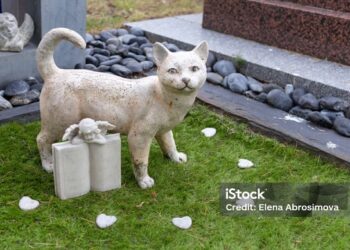 En Uruguay presentaron proyecto de ley para que las mascotas sean sepultadas con sus dueños