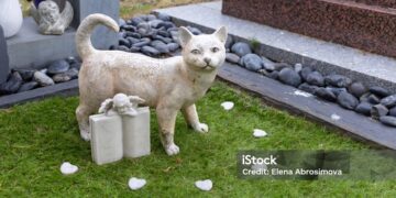 En Uruguay presentaron proyecto de ley para que las mascotas sean sepultadas con sus dueños