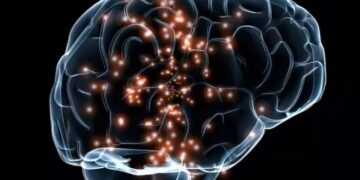 Los traumas de la infancia podrían dejar huellas en el cerebro