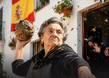 Una propietaria jubilada tiró un nido de avispas a usurpadores de su casa