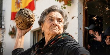 Una propietaria jubilada tiró un nido de avispas a usurpadores de su casa