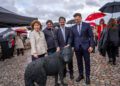Vilna y Roma: Capitales conectadas por lobos míticos instalan obras de arte italianas en la colina de Gediminas
