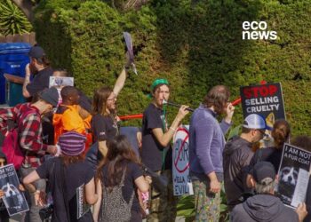 Las multinacionales que se bajaron de «La semana de la moda» por el uso de pieles