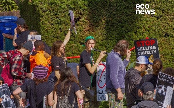 Las multinacionales que se bajaron de «La semana de la moda» por el uso de pieles