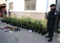 La Policía de la Ciudad detuvo en Nueva Pompeya a dos hombres armados y con antecedentes. Desmanteló un laboratorio de cultivo de marihuana