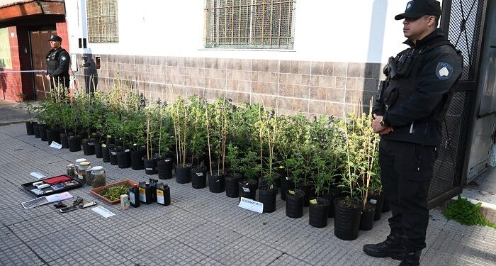 La Policía de la Ciudad detuvo en Nueva Pompeya a dos hombres armados y con antecedentes. Desmanteló un laboratorio de cultivo de marihuana