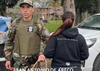 En San Antonio de Areco exigen «Tolerancia 0 para los galgueros» contra la caza ilegal con galgos