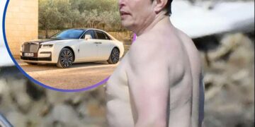 Elon Musk: «Ninguna chica va a elegir un abdomen marcado en vez de seis autos, así que ´deja de ir al jimnasio y vete a trabajar´»