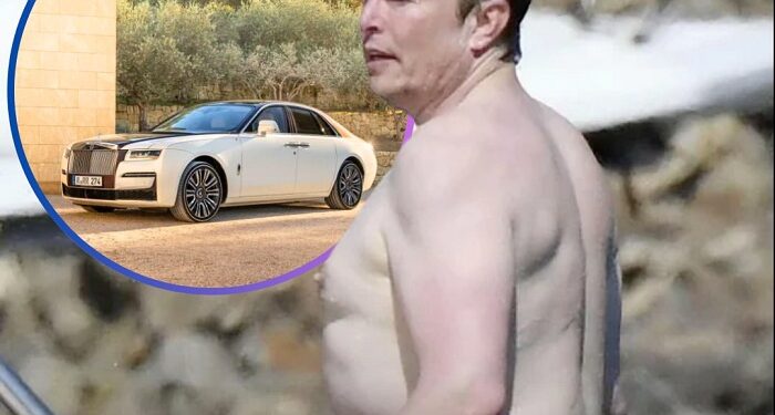 Elon Musk: «Ninguna chica va a elegir un abdomen marcado en vez de seis autos, así que ´deja de ir al jimnasio y vete a trabajar´»