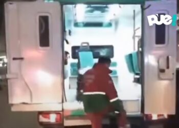 El SAME salvó la vida de un perrito en un incendio y le brindaron asistencia en ambulancia