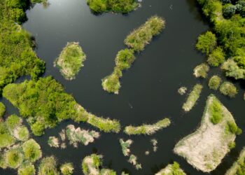 Científicos del Conicet crean el mapa más completo de 133 ecosistemas argentinos para la protección ambiental