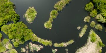 Científicos del Conicet crean el mapa más completo de 133 ecosistemas argentinos para la protección ambiental