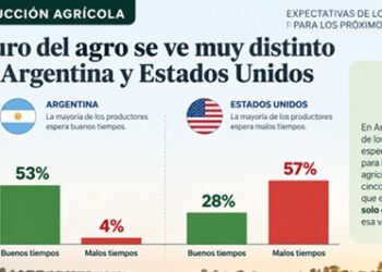 Productores argentinos duplican en optimismo a los de Estados Unidos sobre el futuro del agro
