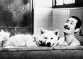 Ultimos dìas del ciclo de cine japonés gratuito en Vicente López